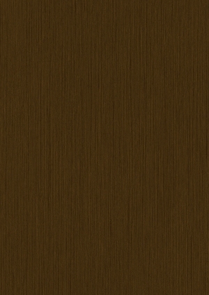 ModernWood Texture