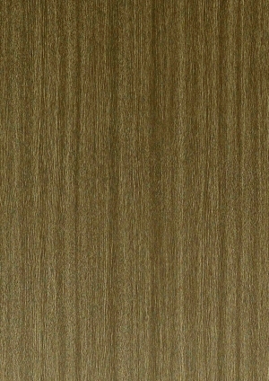 ModernWood Texture