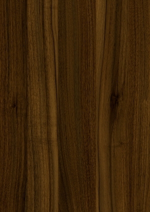 ModernWood Texture