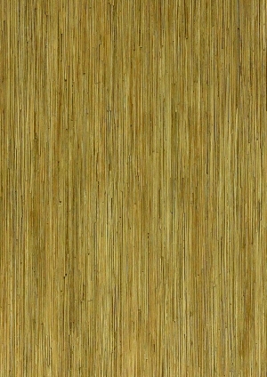 ModernWood Texture