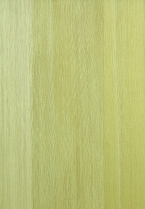 ModernWood Texture