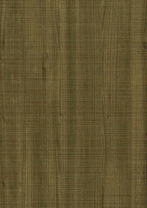 ModernWood Texture