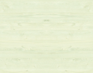 ModernWood Texture