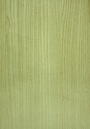 ModernWood Texture