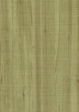 ModernWood Texture