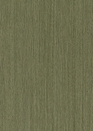 ModernWood Texture