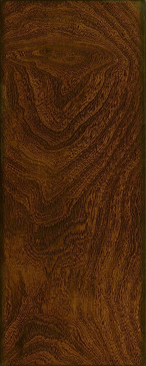 ModernWood Texture