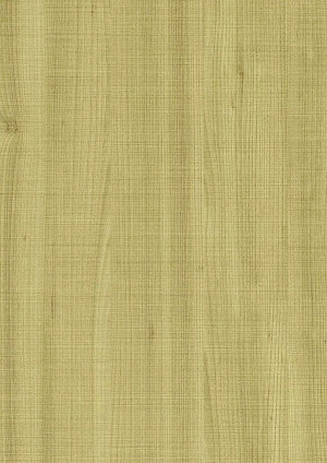 ModernWood Texture