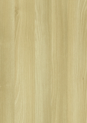 ModernWood Texture