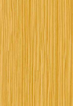 ModernWood Texture