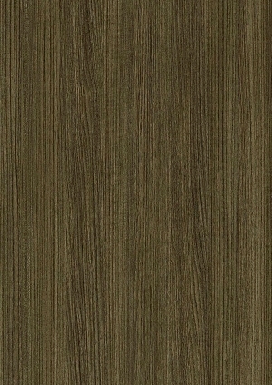 ModernWood Texture