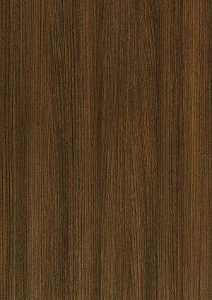 ModernWood Texture