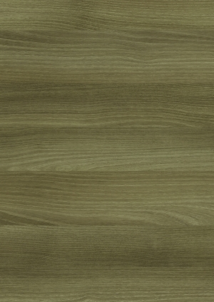 ModernWood Texture