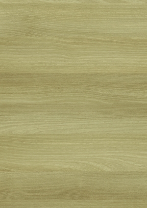 ModernWood Texture