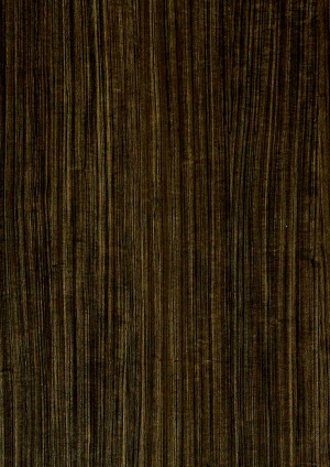 现代木纹-ID:199251898