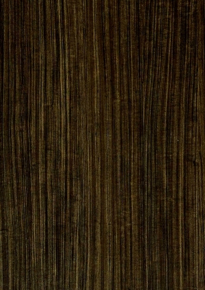 ModernWood Texture