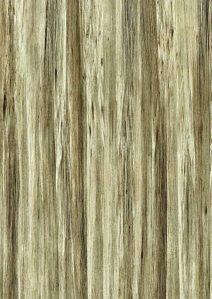 ModernWood Texture