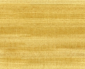 ModernWood Texture