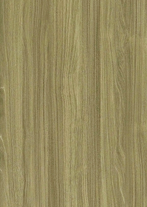 ModernWood Texture