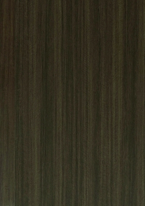 ModernWood Texture