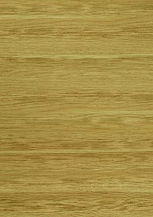 ModernWood Texture