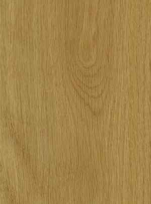 ModernWood Texture