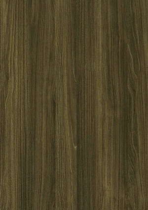ModernWood Texture