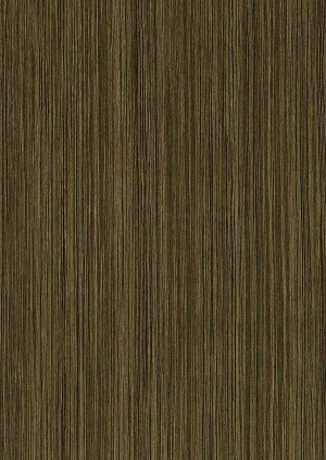 ModernWood Texture