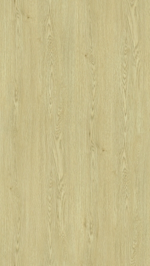 ModernWood Texture