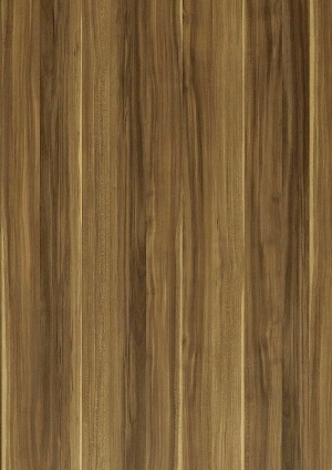 ModernWood Texture