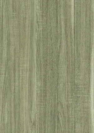 ModernWood Texture