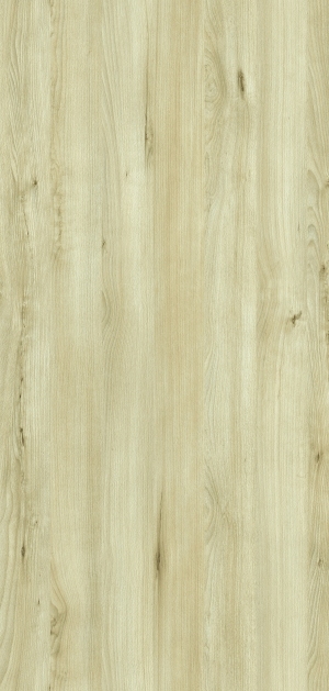 ModernWood Texture