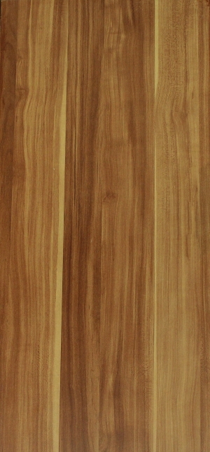 ModernWood Texture