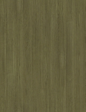 ModernWood Texture