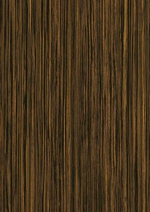 ModernWood Texture