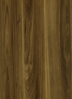 ModernWood Texture