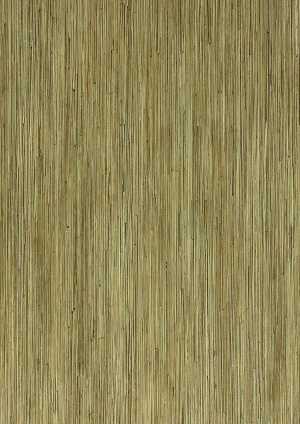 现代木纹-ID:808881049