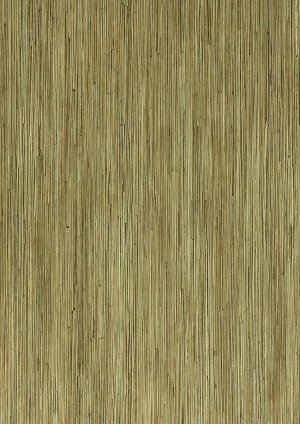 ModernWood Texture