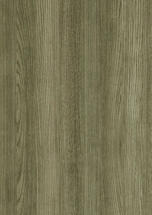 ModernWood Texture