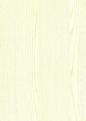 ModernWood Texture