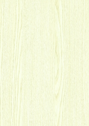 ModernWood Texture