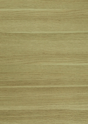 ModernWood Texture