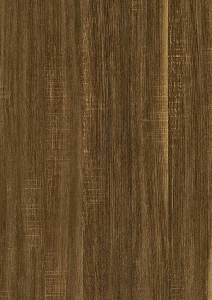 ModernWood Texture