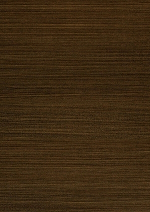 ModernWood Texture