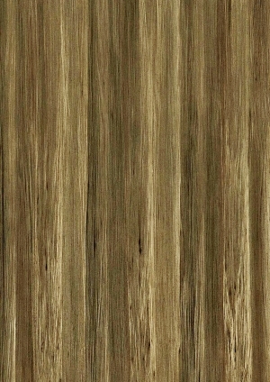 ModernWood Texture