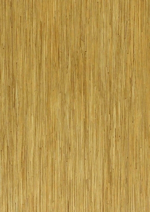 ModernWood Texture