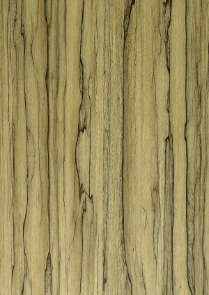 ModernWood Texture