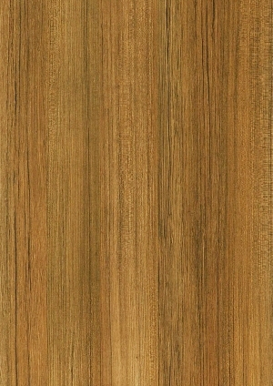 ModernWood Texture