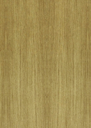 ModernWood Texture