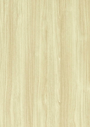 ModernWood Texture